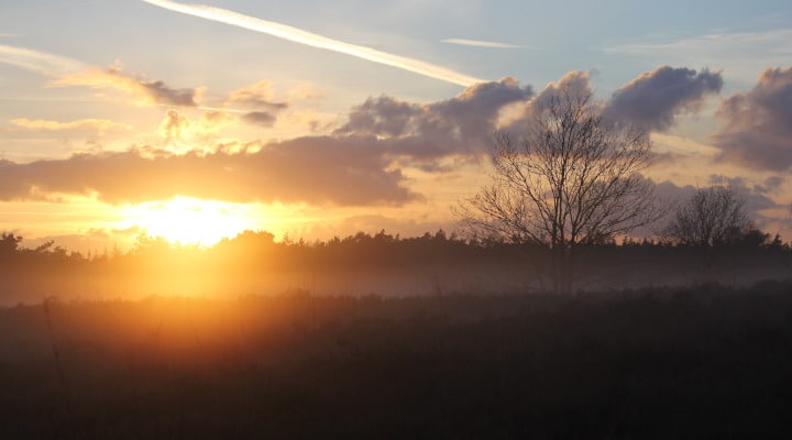 huurrecht advocaat nunspeet